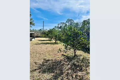 1651 Linden Rd, Apalachicola, FL 32320 - Photo 57