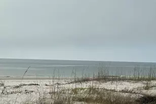 368 Lubbers Ln, Carrabelle, FL 32322 - Photo 39