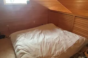 368 Lubbers Ln, Carrabelle, FL 32322 - Photo 19