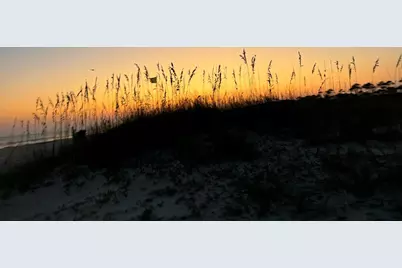 130 Cord Grass Way, Cape San Blas, FL 32456 - Photo 57