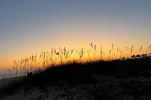 130 Cord Grass Way, Cape San Blas, FL 32456 - Photo 57