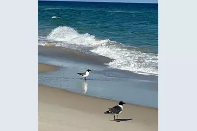 1245 E Gulf Beach Dr, Saint George Island, FL 32328 - Photo 31