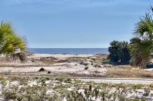 1245 E Gulf Beach Dr, Saint George Island, FL 32328 - Photo 23