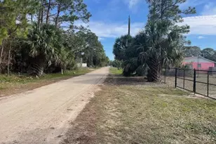 515 W Sawyer St, Saint George Island, FL 32328 - Photo 3