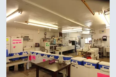 326 Patton Dr, Eastpoint, FL 32328 - Photo 19