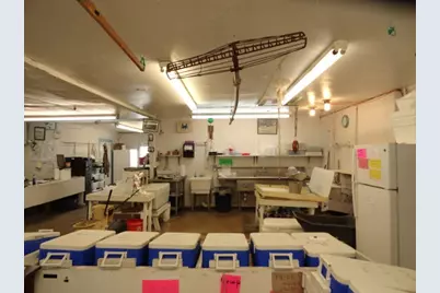 326 Patton Dr, Eastpoint, FL 32328 - Photo 13