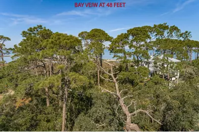 1729 E Gulf Beach Dr, Saint George Island, FL 32328 - Photo 11