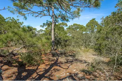1729 E Gulf Beach Dr, Saint George Island, FL 32328 - Photo 15