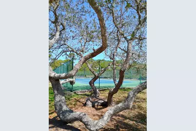 1484 Blueberry Rd, Saint George Island, FL 32328 - Photo 31