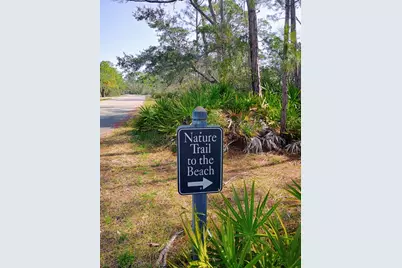 1484 Blueberry Rd, Saint George Island, FL 32328 - Photo 25