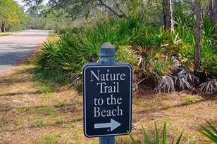 1484 Blueberry Rd, Saint George Island, FL 32328 - Photo 25