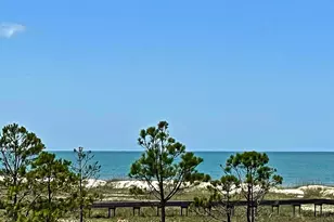 138 Cape Dunes Dr, Port Saint Joe, FL 32456 - Photo 13