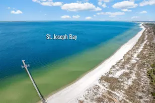 396 Sea Grv Wy, Port Saint Joe, FL 32456 - Photo 55