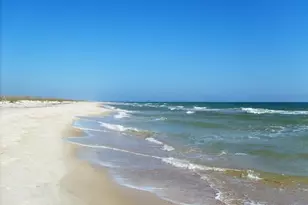 1639 Wayfarers Ct, Saint George Island, FL 32328 - Photo 53