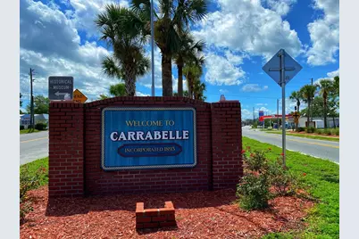 156 Skimmer Dr, Carrabelle, FL 32322 - Photo 17