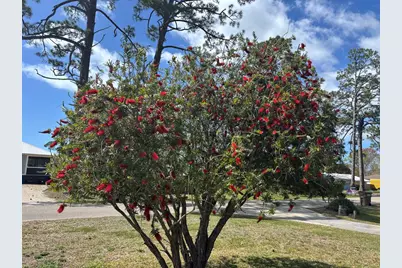 1321 McClelland Ave, Port Saint Joe, FL 32456 - Photo 75