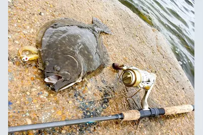 Lot 2 Cape San Blas Rd, Port Saint Joe, FL 32456 - Photo 39