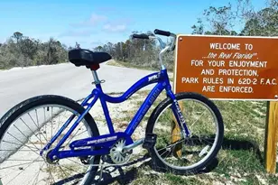 246 Parkside Cir, Cape San Blas, FL 32456 - Photo 29