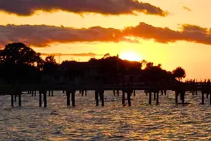 312 Bledsoe St, Saint George Island, FL 32328 - Photo 85