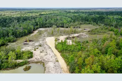 2771 Hwy 71 S, Wewahitchka, FL 32465 - Photo 5