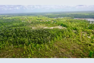 2771 Hwy 71 S, Wewahitchka, FL 32465 - Photo 3