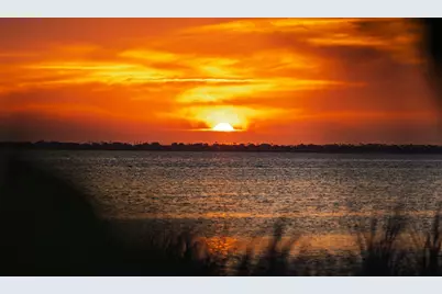 19 Black's Island Tr, Port Saint Joe, FL 32456 - Photo 83