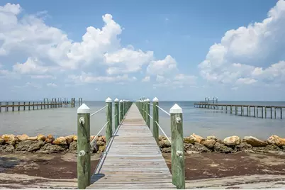 1229 Watkins Cove, Saint George Island, FL 32328 - Photo 45