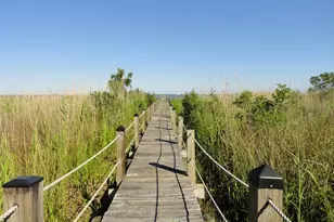 130 Bay Ave, Apalachicola, FL 32320 - Photo 39