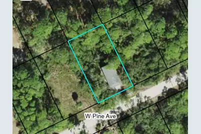 865 W Pine Ave, Saint George Island, FL 32328 - Photo 11