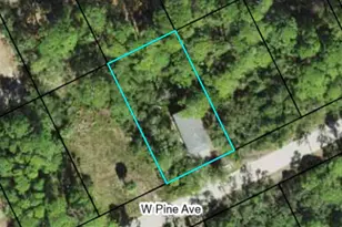 865 W Pine Ave, Saint George Island, FL 32328 - Photo 11