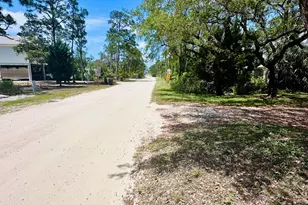 865 W Pine Ave, Saint George Island, FL 32328 - Photo 9