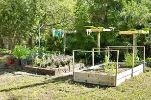 865 W Pine Ave, Saint George Island, FL 32328 - Photo 17