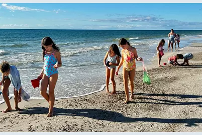 1506 Long Ave, Port Saint Joe, FL 32456 - Photo 35