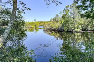 38 E M Davis Dr, Sopchoppy, FL 32358 - Photo 41