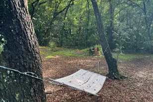 578 Brownsville Rd, Apalachicola, FL 32320 - Photo 27