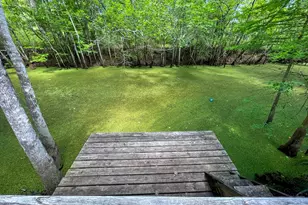 211 Fraley St, Wewahitchka, FL 32465 - Photo 29