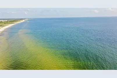 7030 Americus Ave, Port Saint Joe, FL 32456 - Photo 71