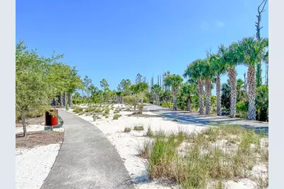 110 Falling Star Way, Port Saint Joe, FL 32456 - Photo 69