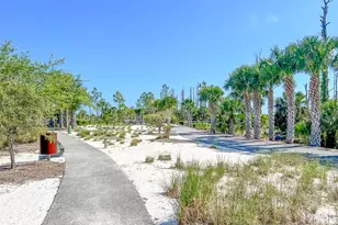 110 Falling Star Wy, Port Saint Joe, FL 32456 - Photo 69