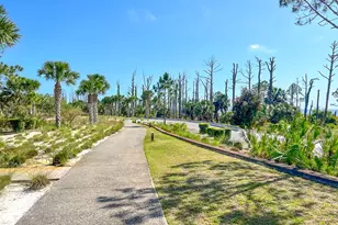 110 Falling Star Wy, Port Saint Joe, FL 32456 - Photo 67