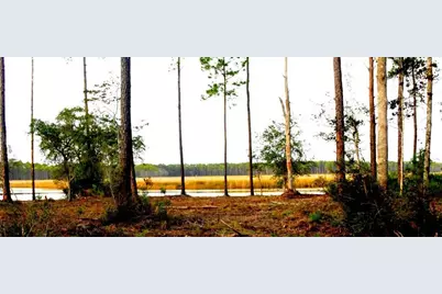 340 Jay Jay Way, Carrabelle, FL 32322 - Photo 7