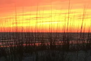 7011 Windward St, Cape San Blas, FL 32456 - Photo 33