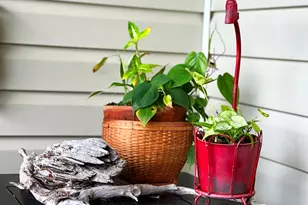 2189 Sr 30-A, Port Saint Joe, FL 32456 - Photo 11