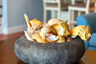 2189 Sr 30-A, Port Saint Joe, FL 32456 - Photo 7