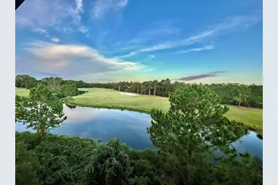 331 Eagles Way, Carrabelle, FL 32322 - Photo 3