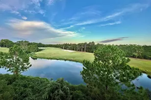 331 Eagles Way, Carrabelle, FL 32322 - Photo 3