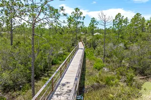 292 Cove Ln, Port Saint Joe, FL 32456 - Photo 75