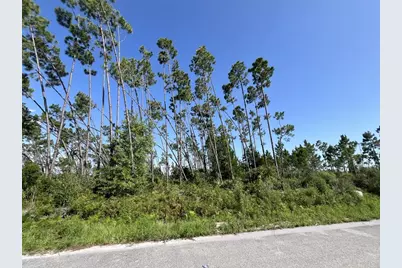 00 E Marsh Line Rd, Wewahitchka, FL 32465 - Photo 7