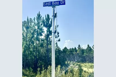 00 E Marsh Line Rd, Wewahitchka, FL 32465 - Photo 5