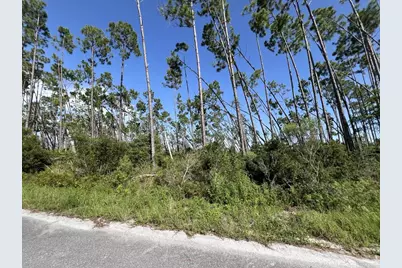 00 E Marsh Line Rd, Wewahitchka, FL 32465 - Photo 13